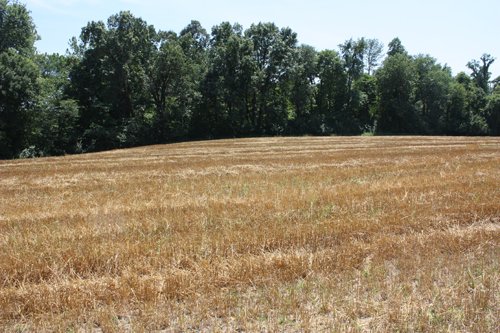 Property photo 9 - AUCTION POSTPONED